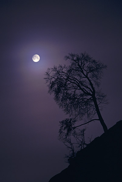 N�chtlicher Mond an der Steilk�ste, Nationalpark Jasmund, R�gen, Deutschland, Europa
