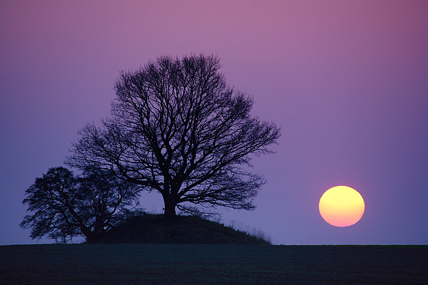 Sonnenaufgang an H�gelgrag - Zudar, R�ge, Mecklenburg-Vorpommern, Deutschland, Europa