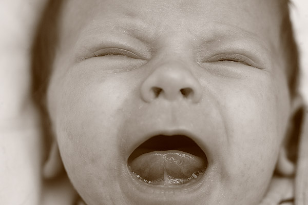 Im Streik - Mehr Milch! Bessere Milch! und �berhaupt wegen Allem!